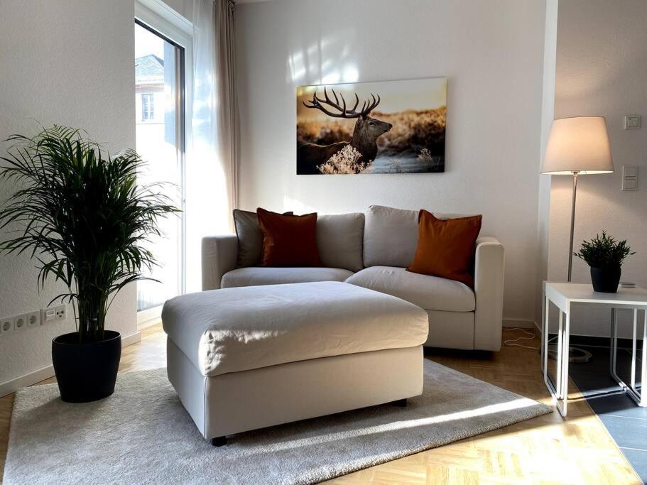 Apartment Acapella Adagio 54qm, Direkt Am Weinberg, Altstadt, Netflix Inklusive