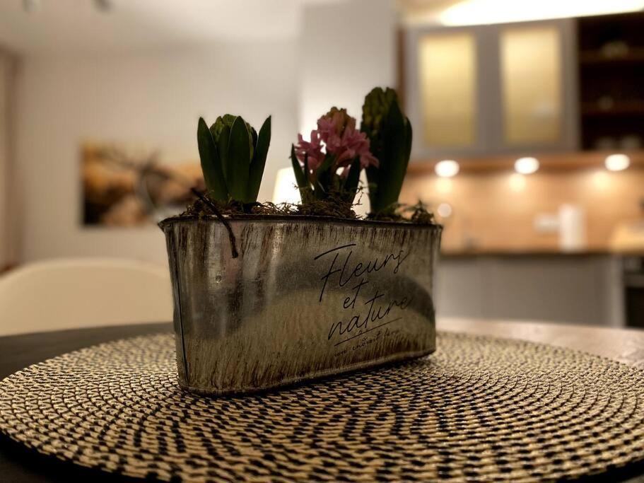 Acapella Adagio 54qm, Direkt Am Weinberg, Altstadt, Netflix Inklusive Apartment Heppenheim (Bergstraße)