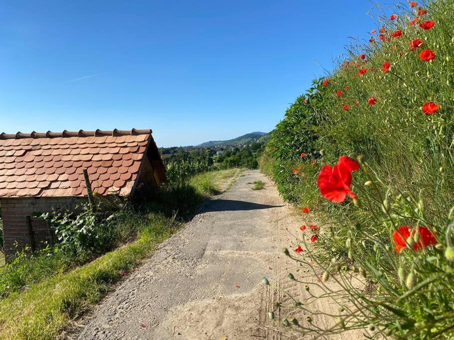Acapella Adagio 54qm, Direkt Am Weinberg, Altstadt, Netflix Inklusive * Heppenheim (Bergstraße)