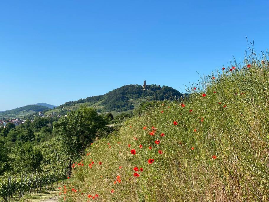 Acapella Adagio 54qm, Direkt Am Weinberg, Altstadt, Netflix Inklusive Appartement Heppenheim (Bergstrasse)
